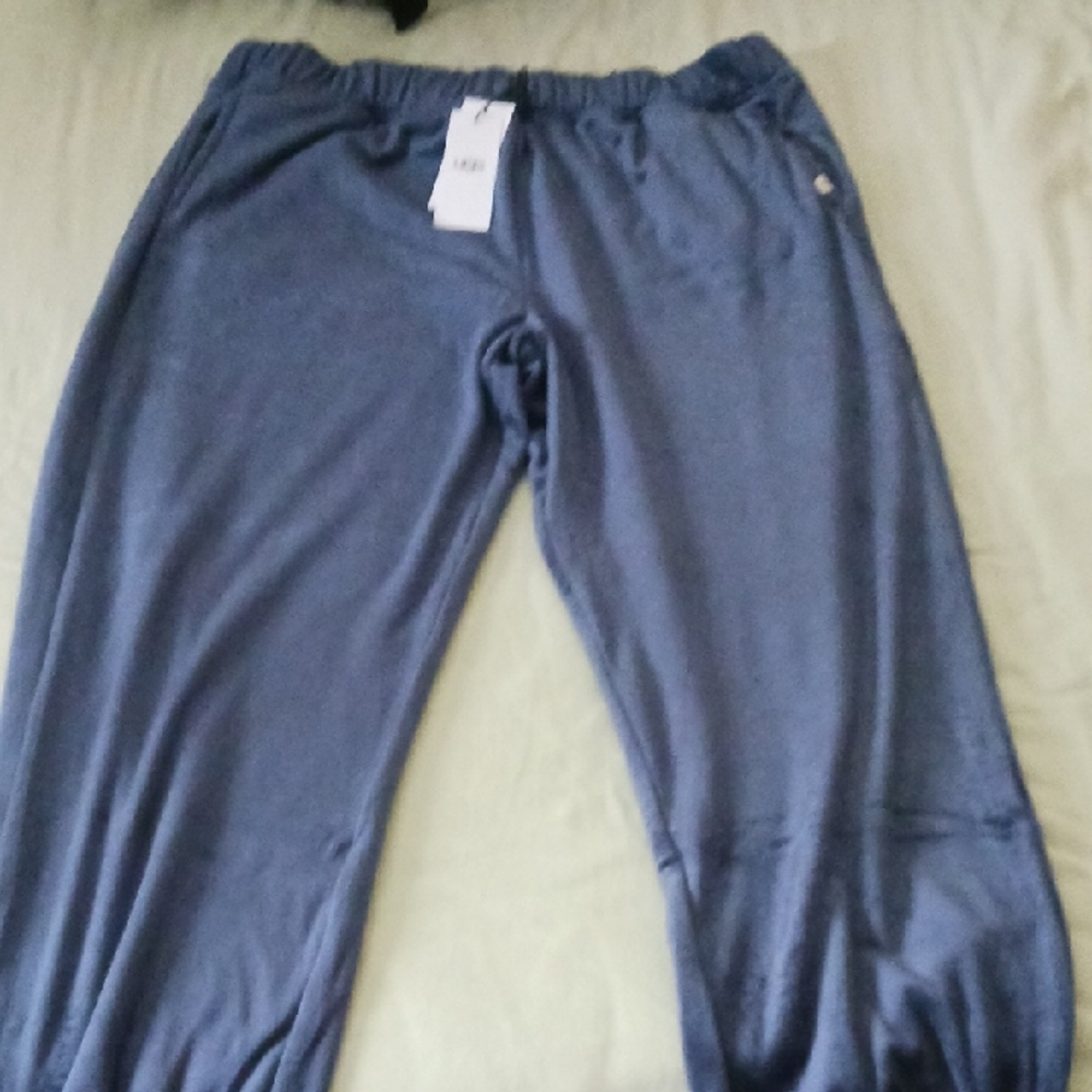 Ugg Blue Jogger Pants